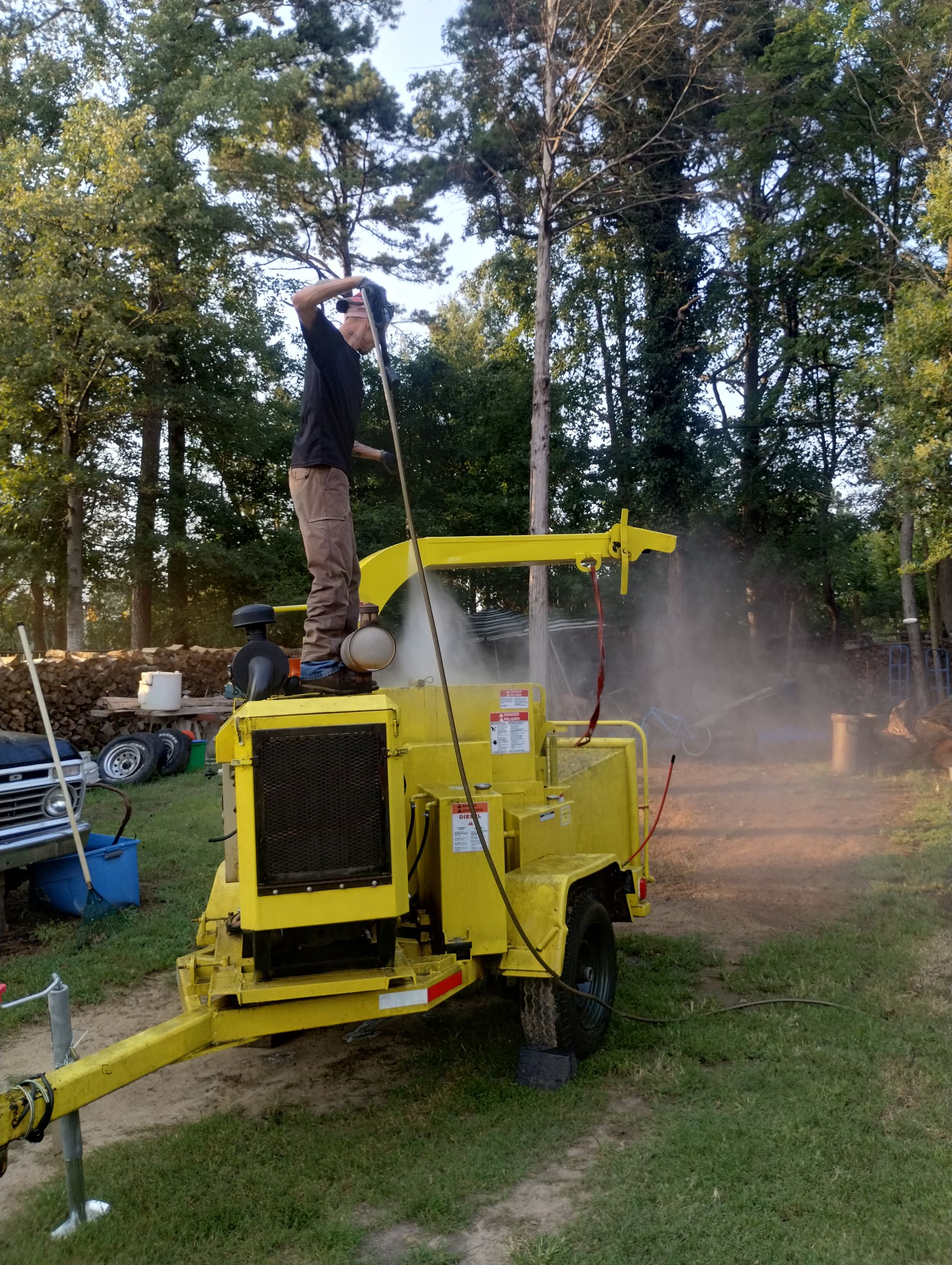 Gallery Image | Rose Tree Care LLC
