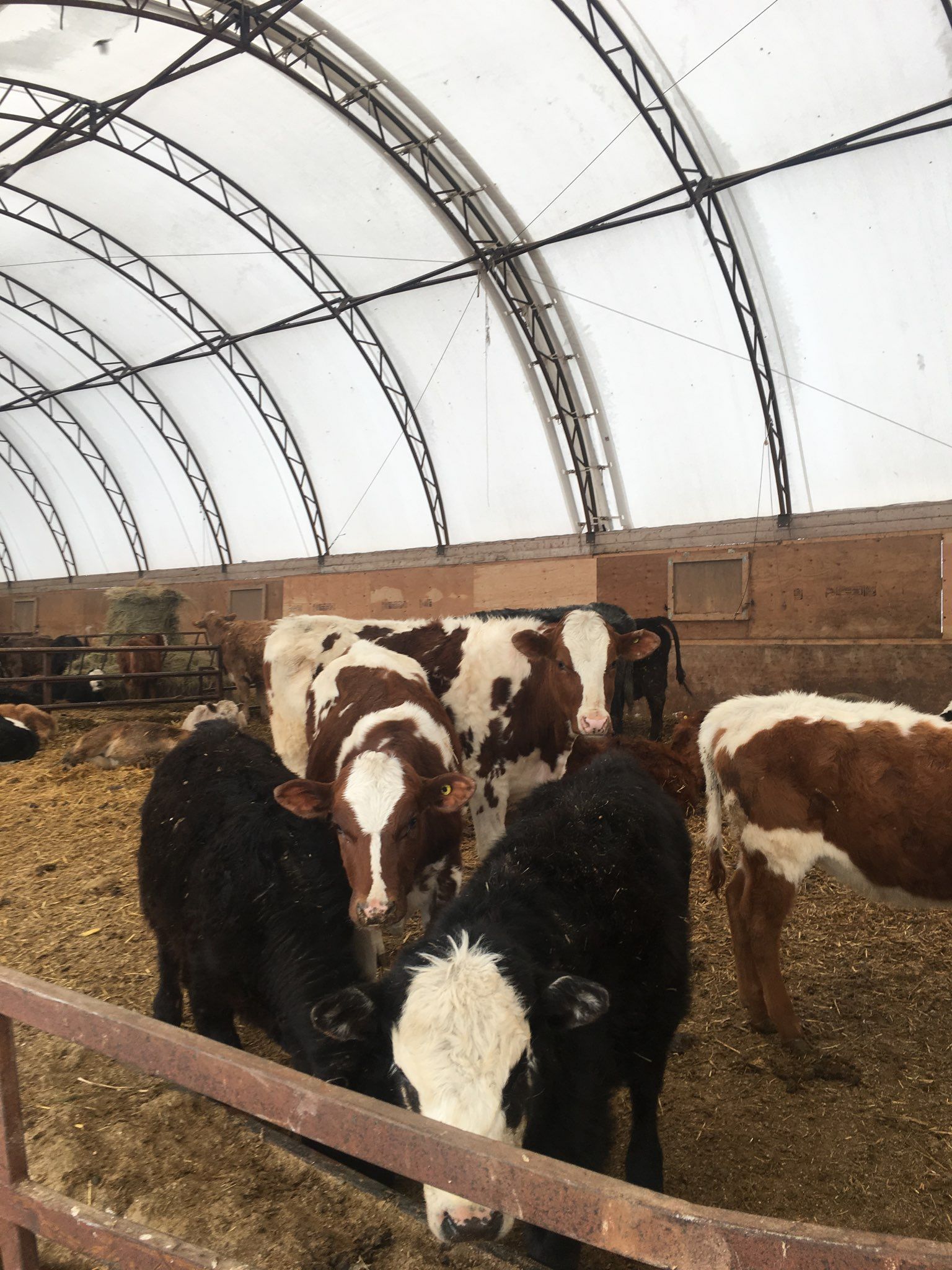 Silver Stream Shelters