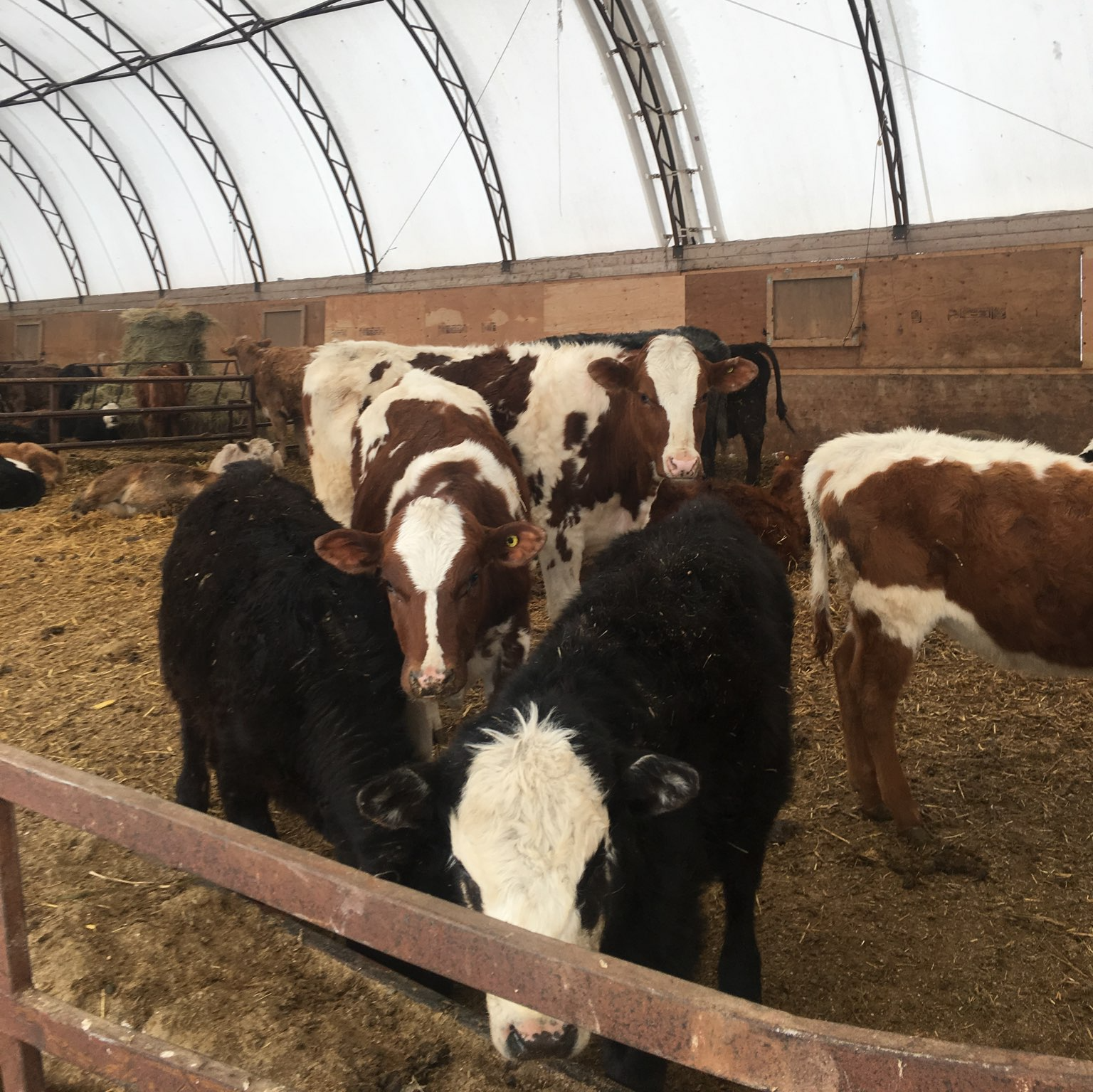 Silver Stream Shelter