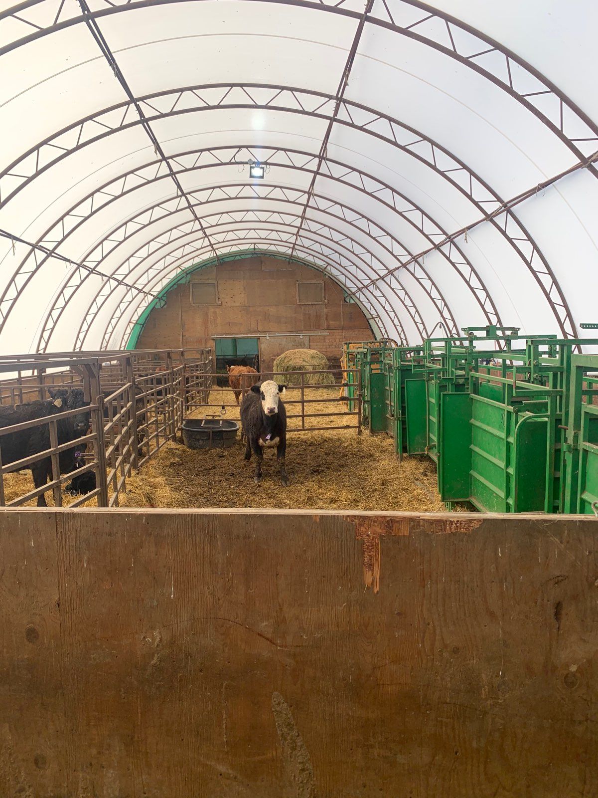 Silver Stream Shelters