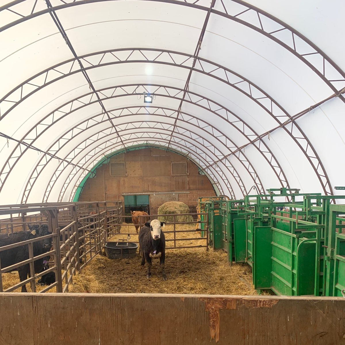 Silver Stream Shelter