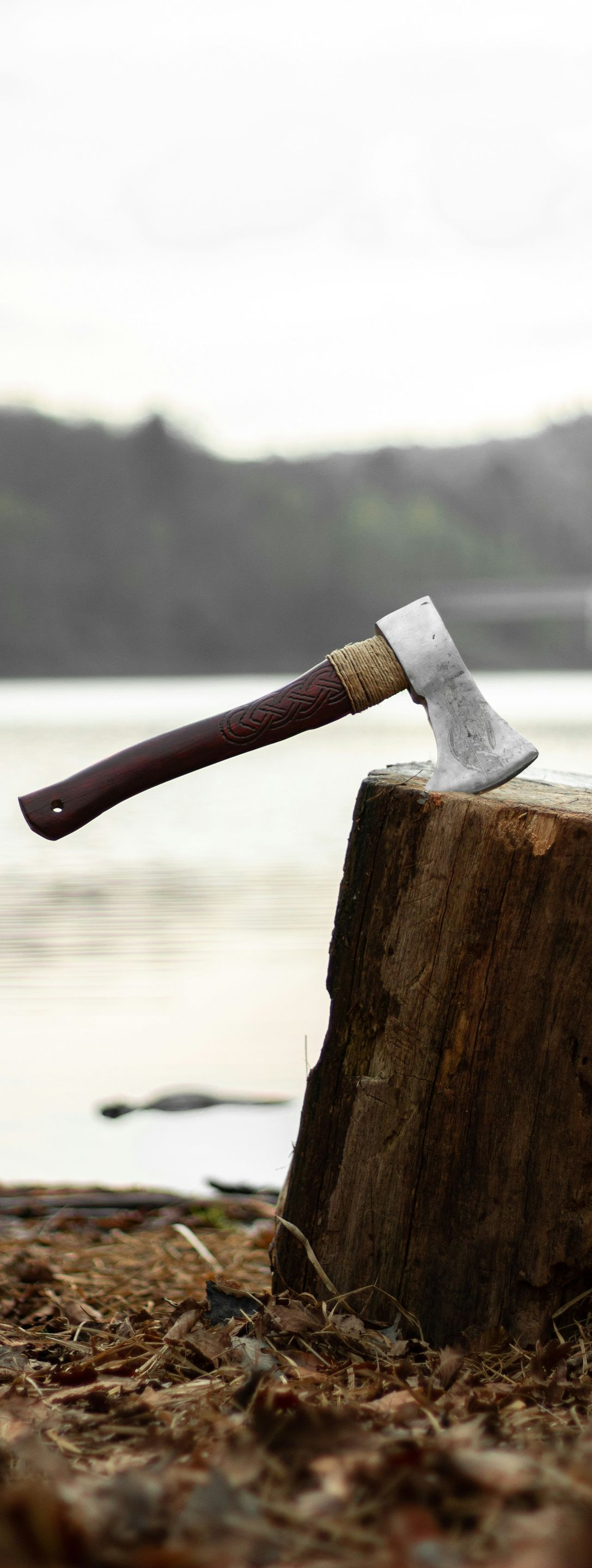A hatchet embedded in a tree stump by a lakeshore, with a blurred forest and water in the background.