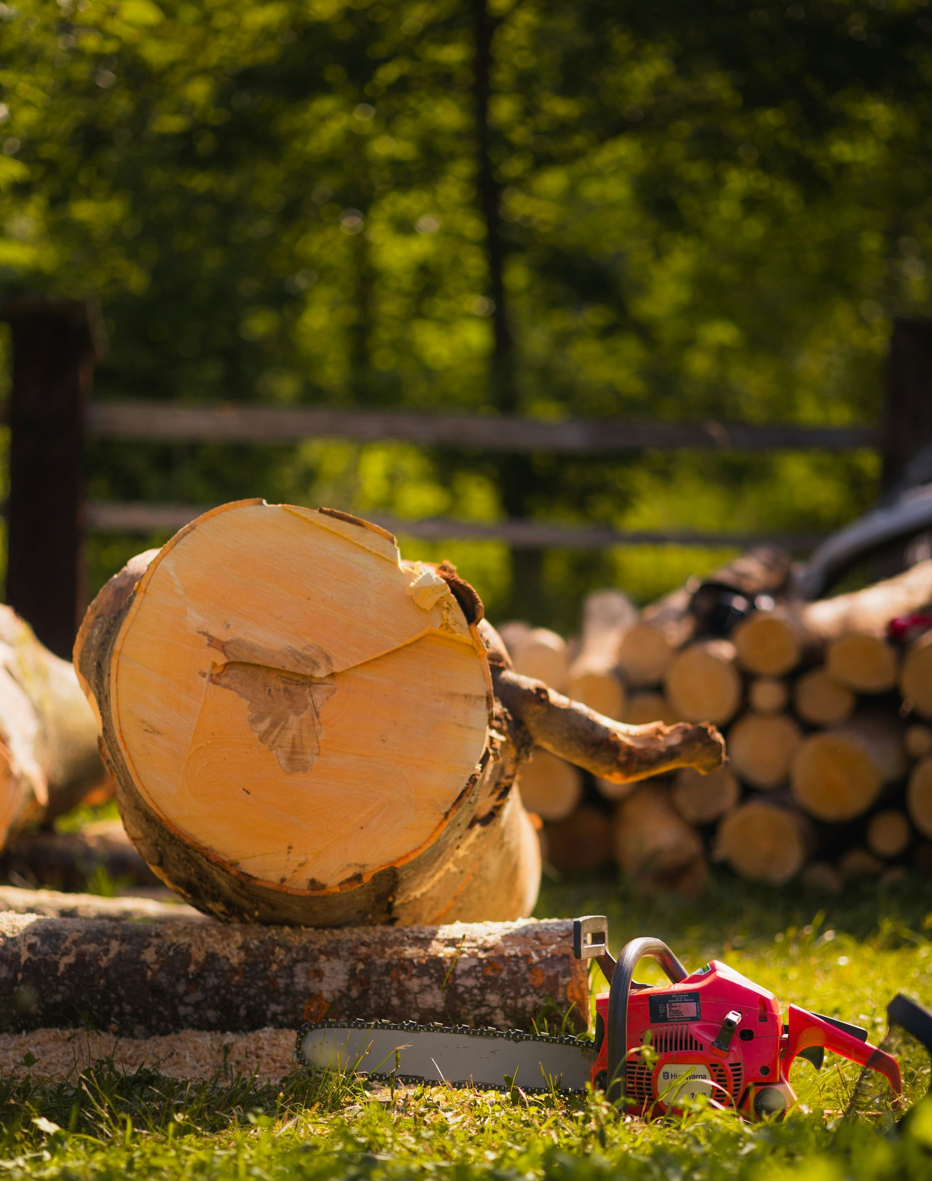 Freshly cut log on grass with stacked firewood in the background and red flowers nearby
