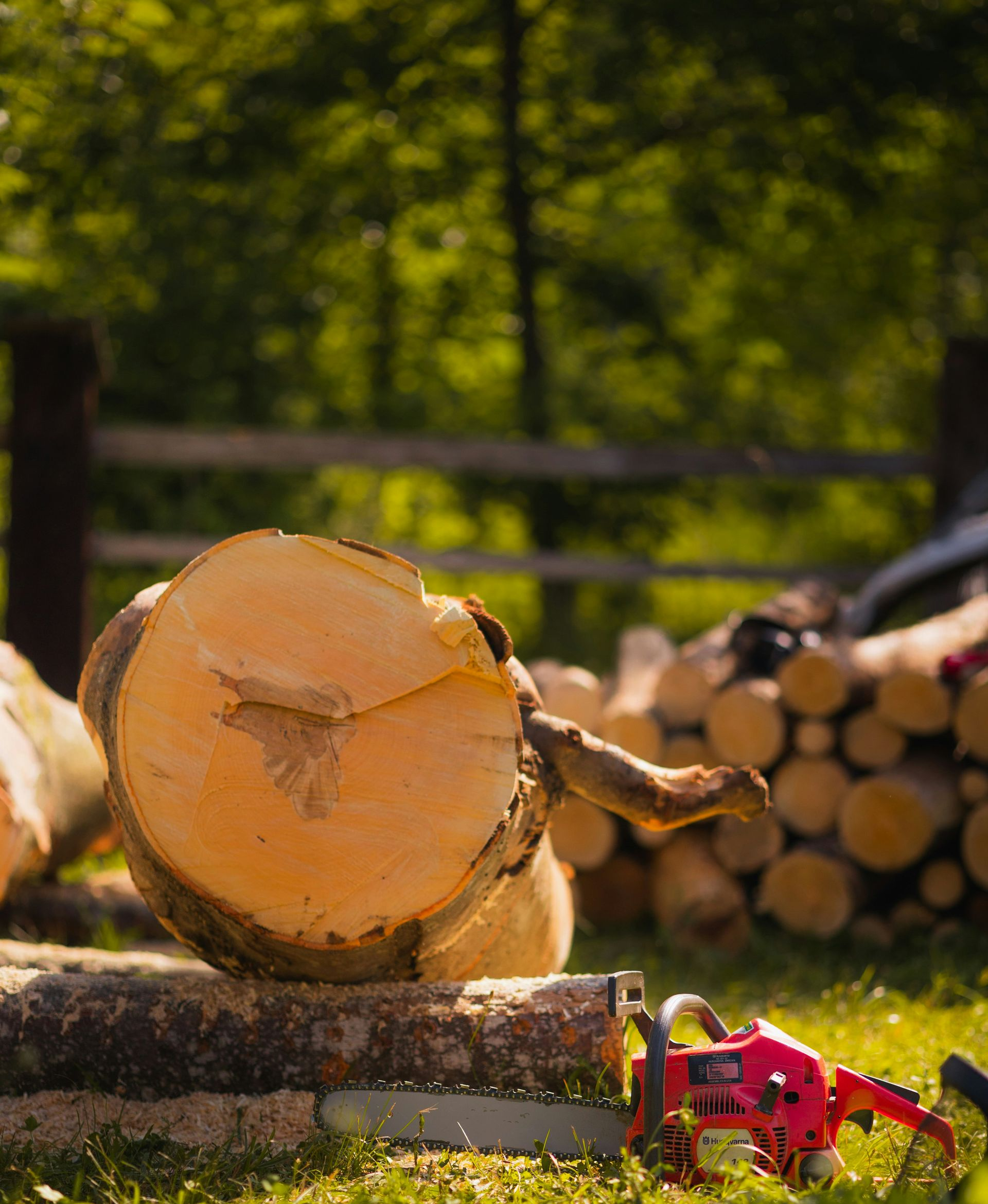 Freshly cut log on grass with stacked firewood in the background and red flowers nearby