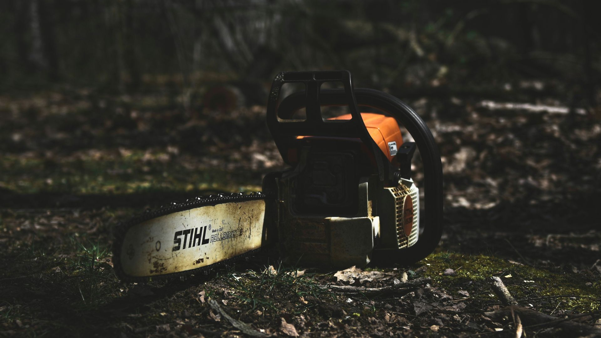 Chainsaw lying on a forest floor, with orange engine cover and bar visible among leaves and branches