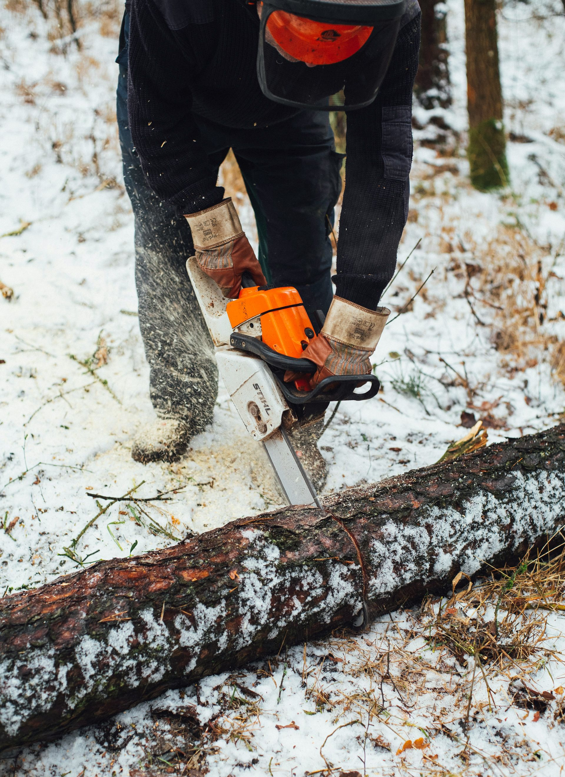 Person using an orange chainsaw to cut a fallen tree in a snowy forest