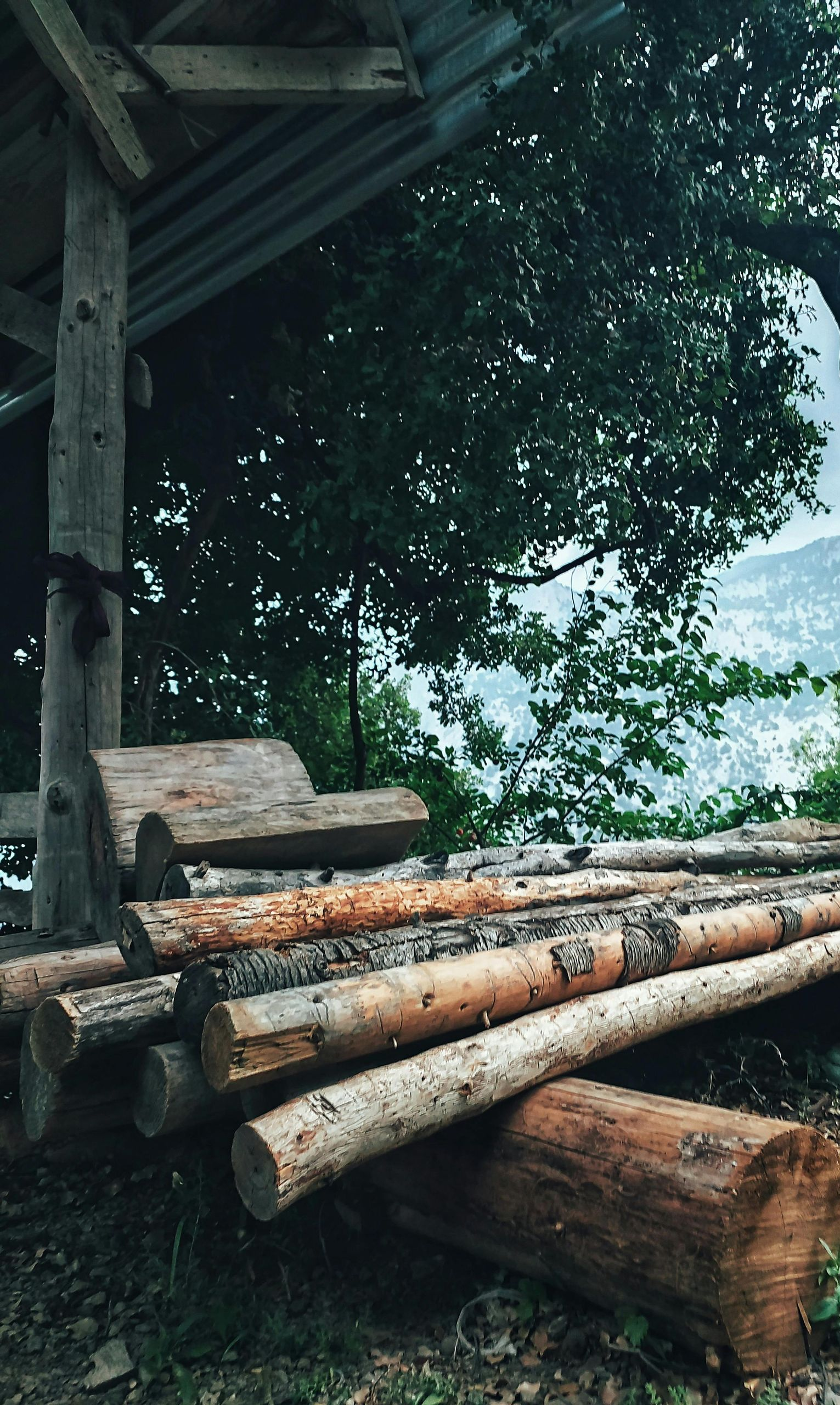 Stacked logs under a wooden shelter beside a leafy forest, with misty hills in the background.
