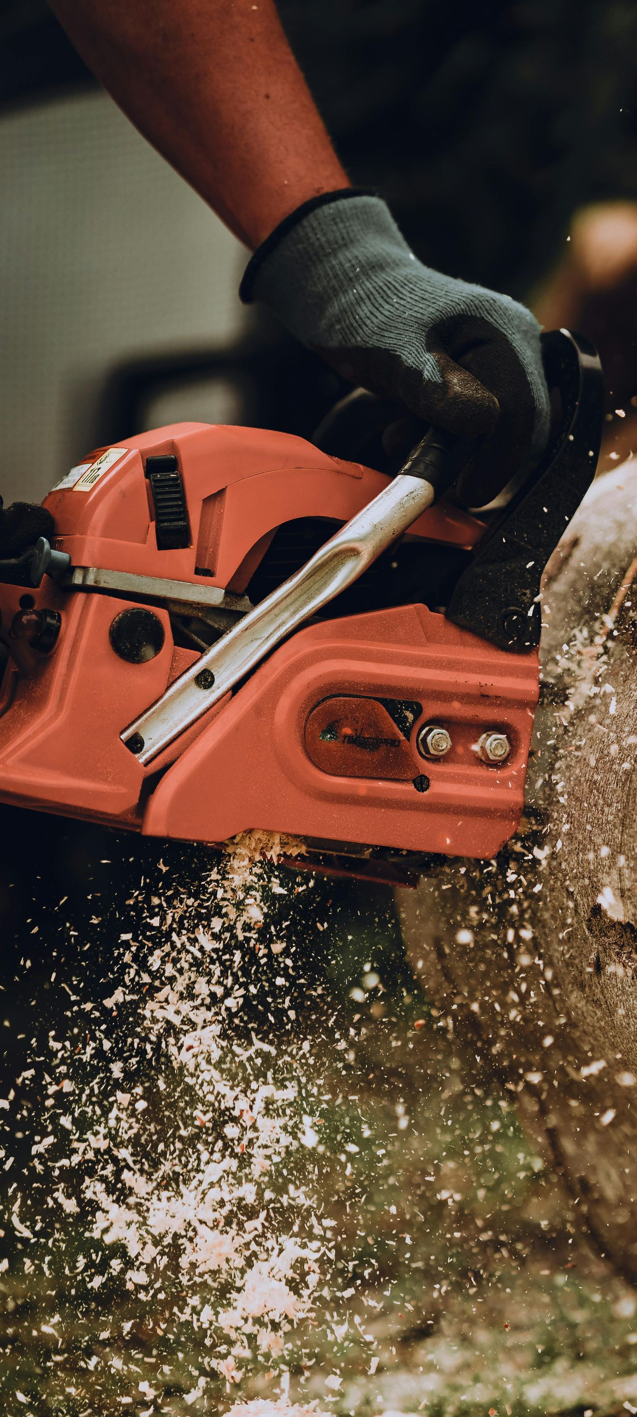 Gloved hands operating an orange chainsaw, cutting wood with sawdust flying.