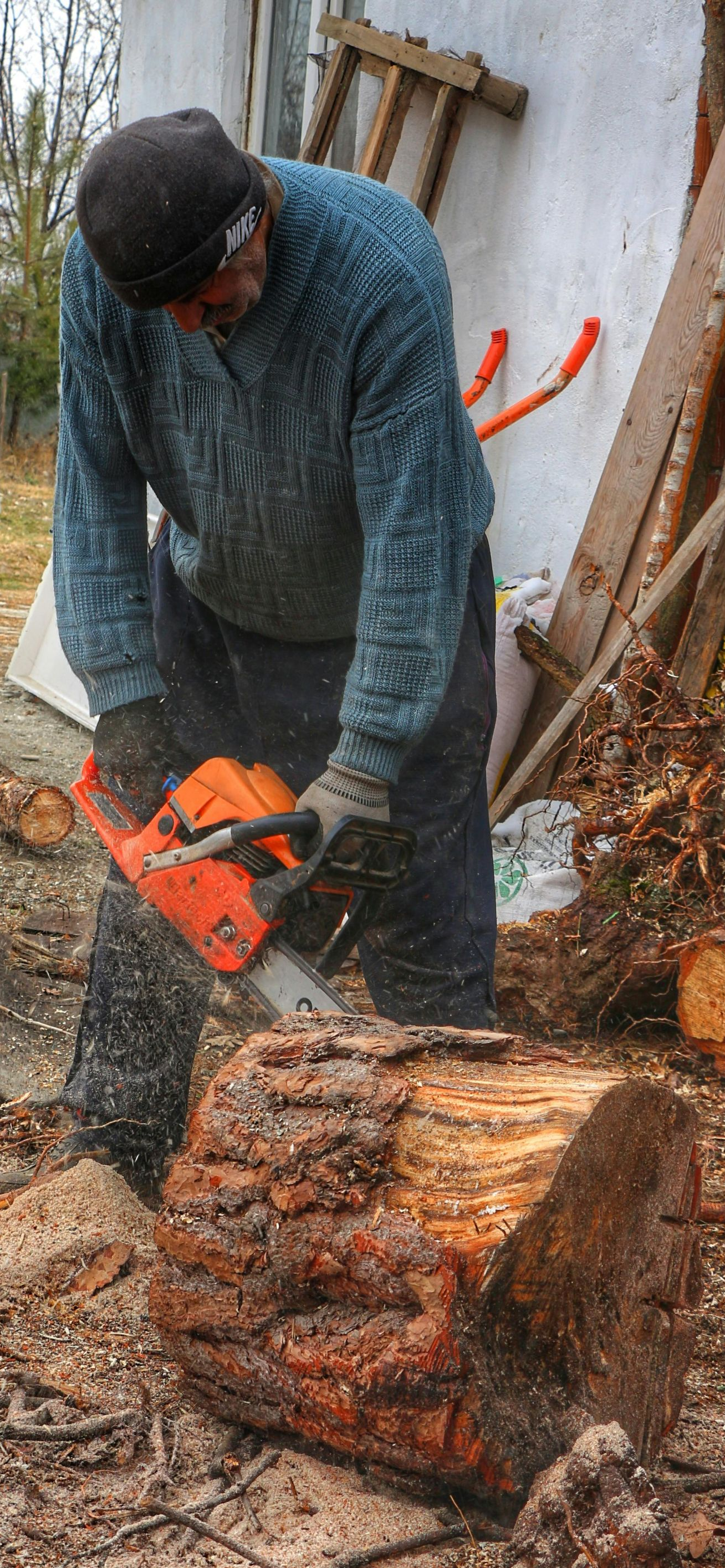 Person cutting a log with an orange chainsaw outdoors, with wood debris and a stump nearby