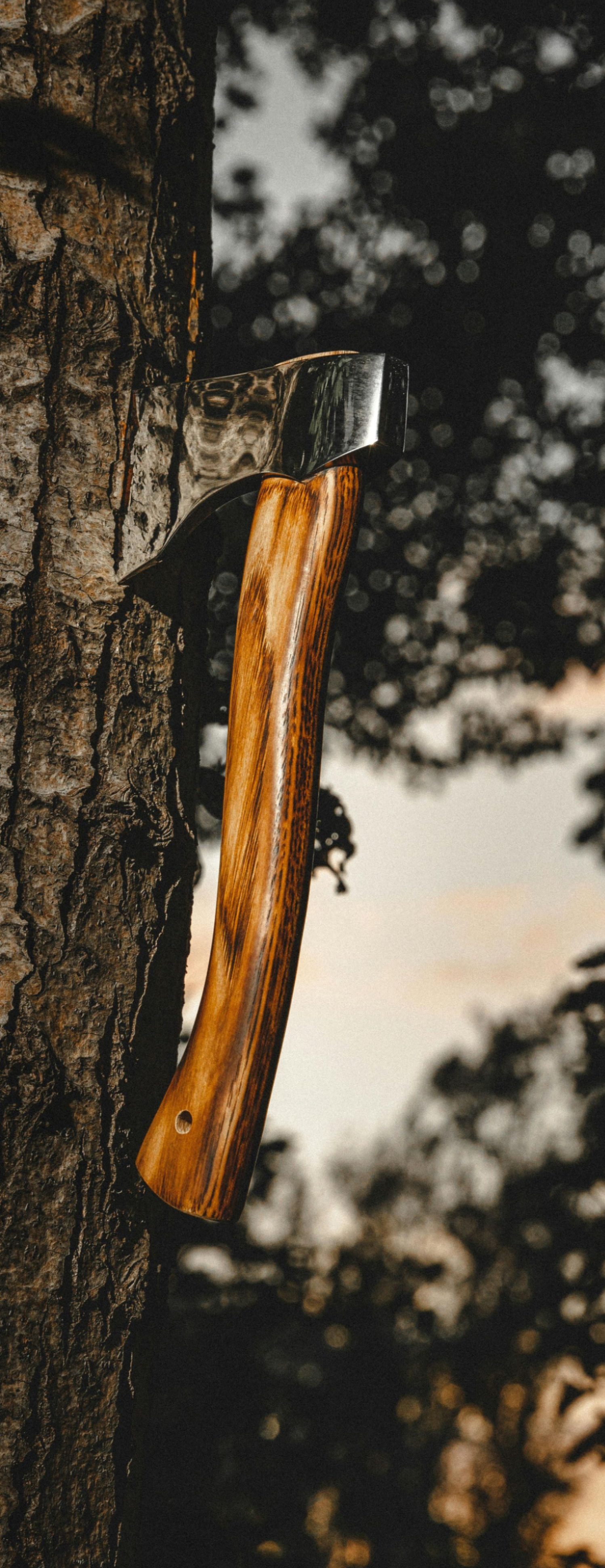 an axe against a blurred dark tree canopy at dusk.