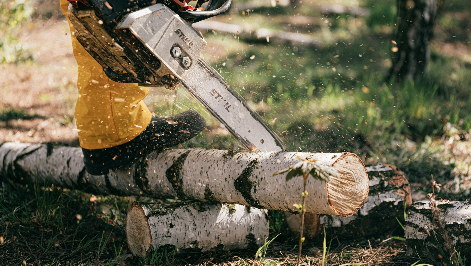 Chainsaw cutting a fallen log outdoors, with wood chips flying in a wooded area.