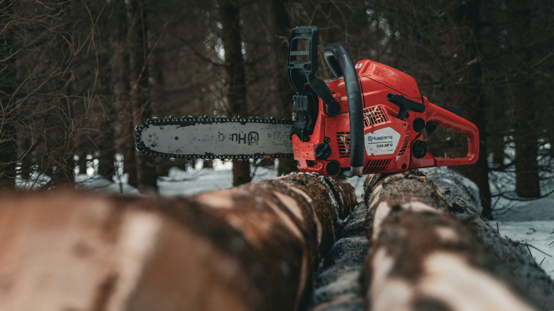 Red chainsaw cutting logs in a snowy forest with stacked cut timber in the foreground