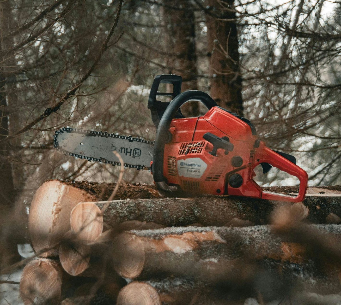 Orange chainsaw resting on stacked logs in a wooded area.