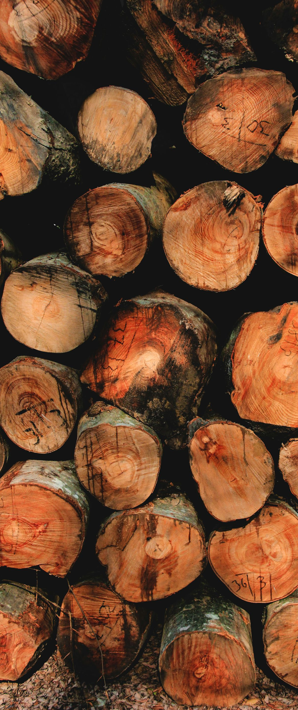 Stacked cut logs with rough bark and orange-brown wood ends filling the frame
