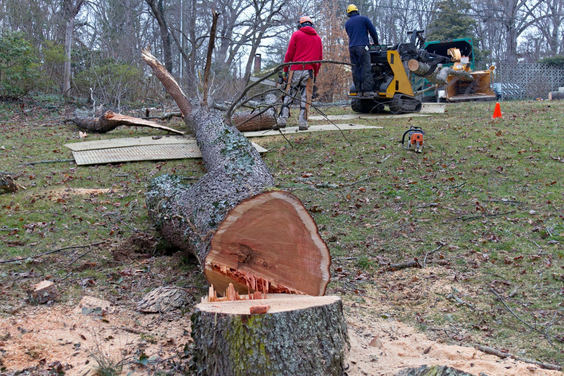 Cut tree trunk in yard with workers and a wood chipper in the background