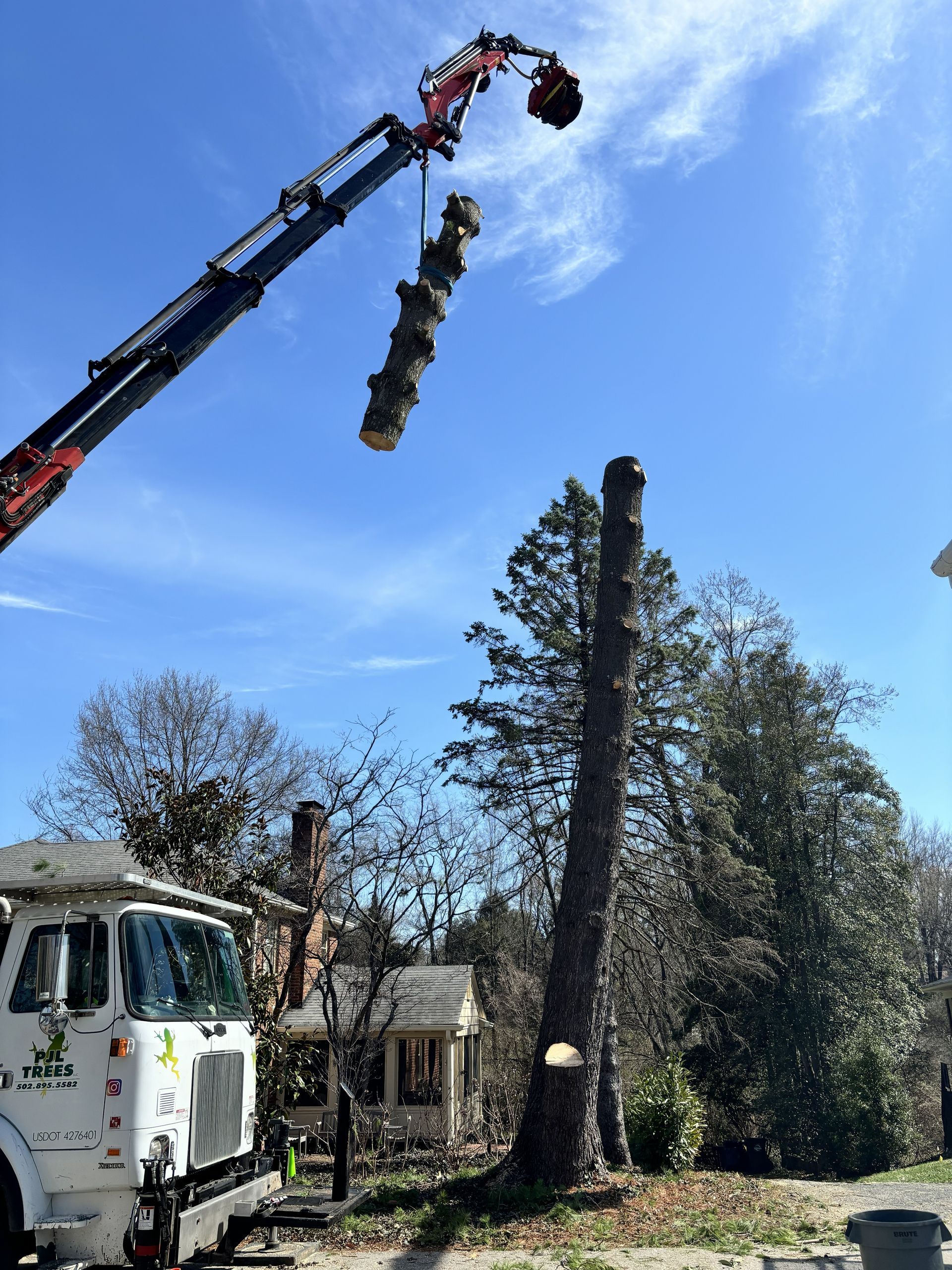 Close-up of a high-quality chainsaw cutting a thick limb during a routine tree service. Close-up of a high-quality chainsaw cutting a thick limb during a routine tree service.