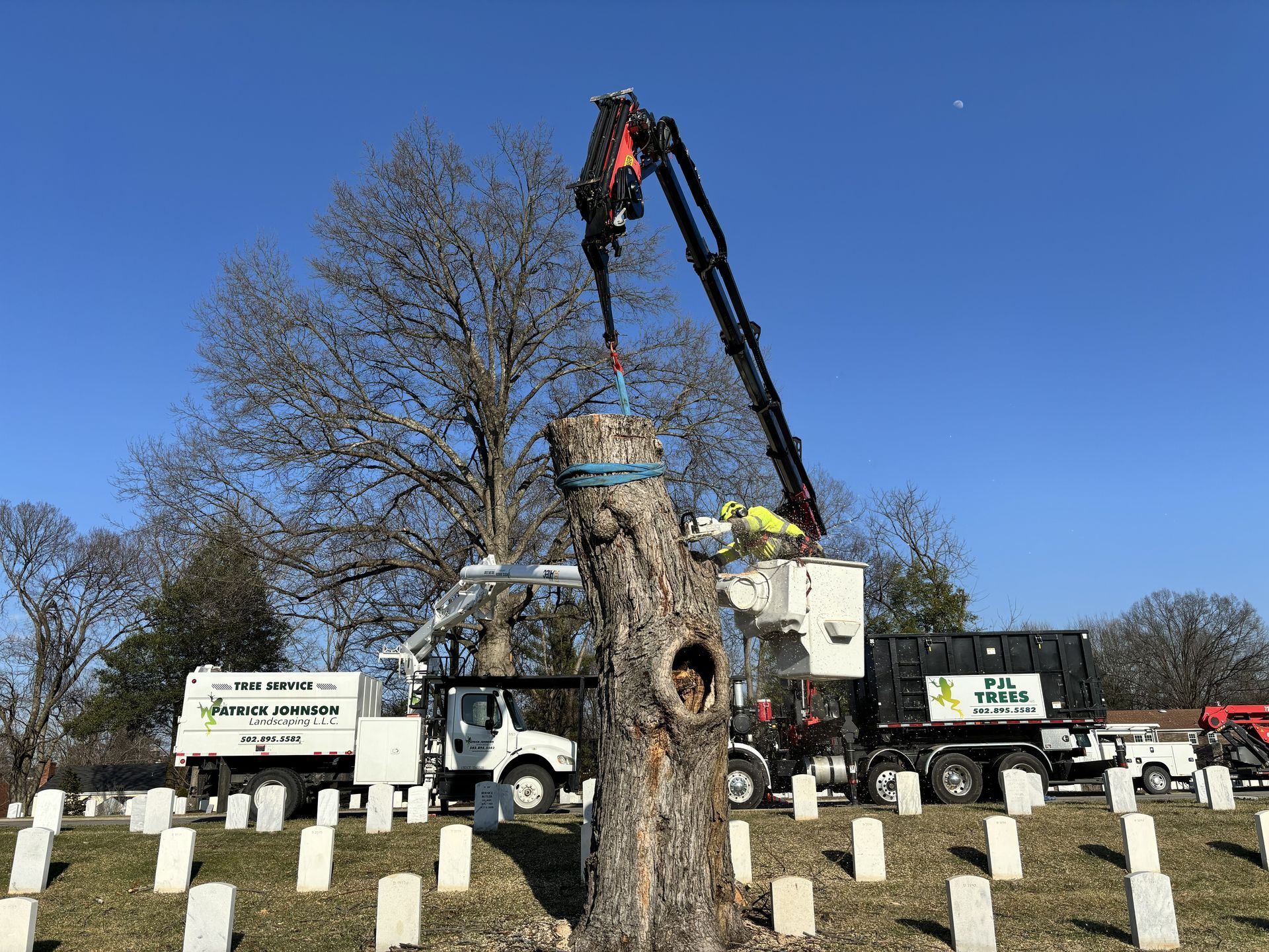 Tree workers in a cherry picker trimming branches beside a tall tree against a cloudy sky Tree workers in a cherry picker trimming branches beside a tall tree against a cloudy sky