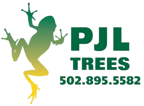 PJL Trees PJL Trees
