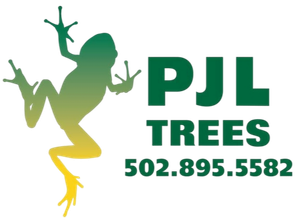 PJL Trees PJL Trees