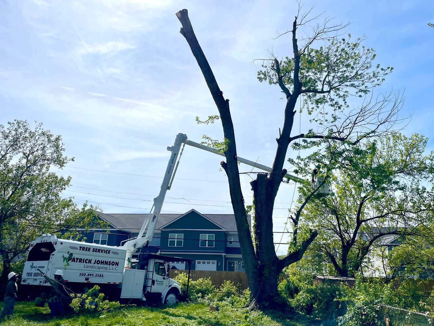 Tree crew removing large tree beside house with bucket truck and wood chipper
