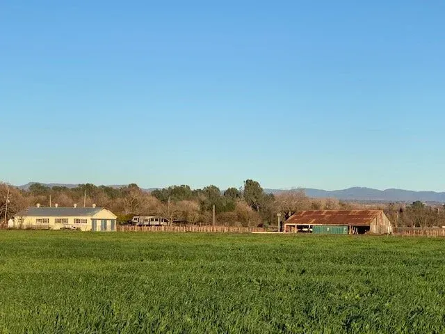 Comanche Creek Farm