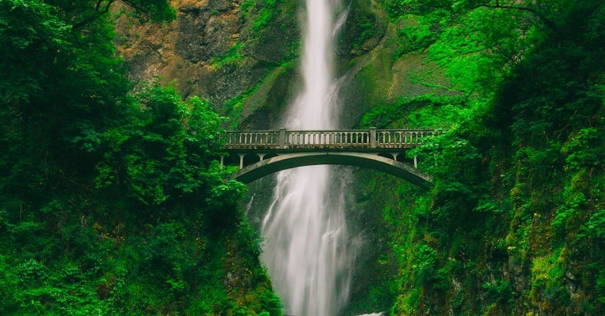 There is a bridge over a waterfall in the middle of a forest.