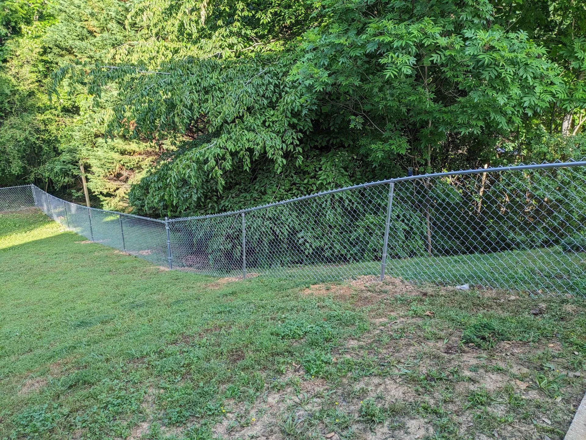 Chain-link fence along a grassy hillside with dense green trees in the background