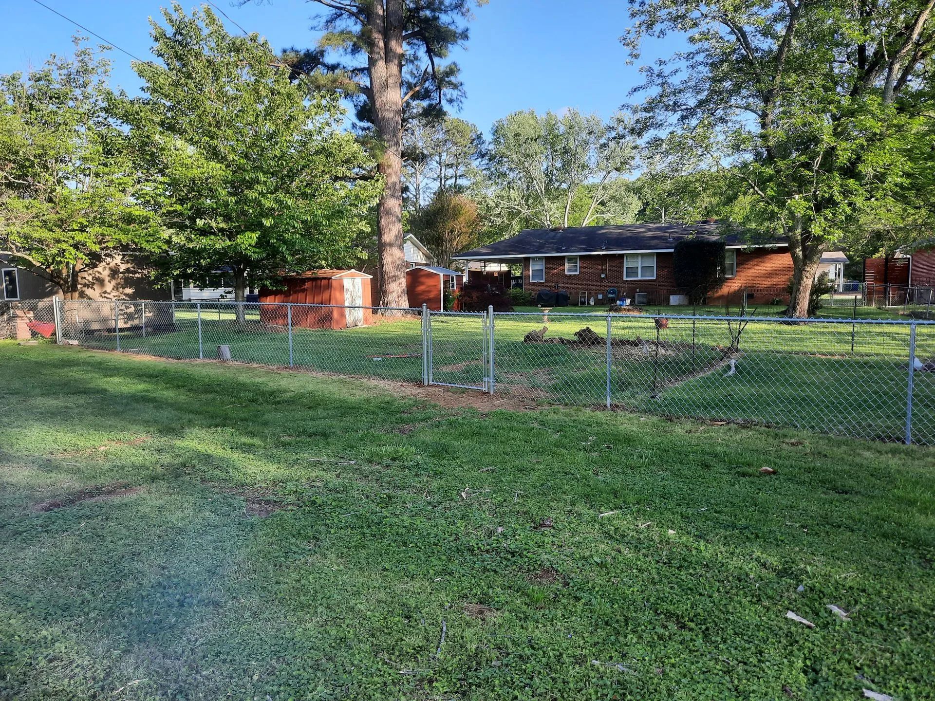 Grassy yard with chain-link fence, red brick house, and tall trees on a sunny day