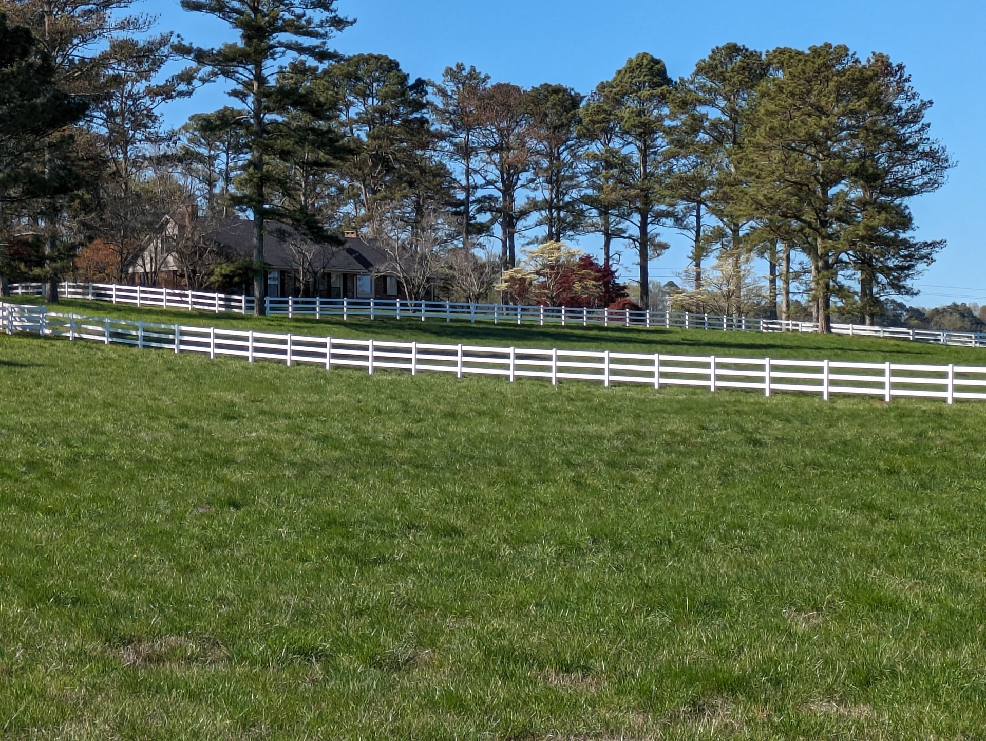 A white fence surrounds a grassy field with trees in the background