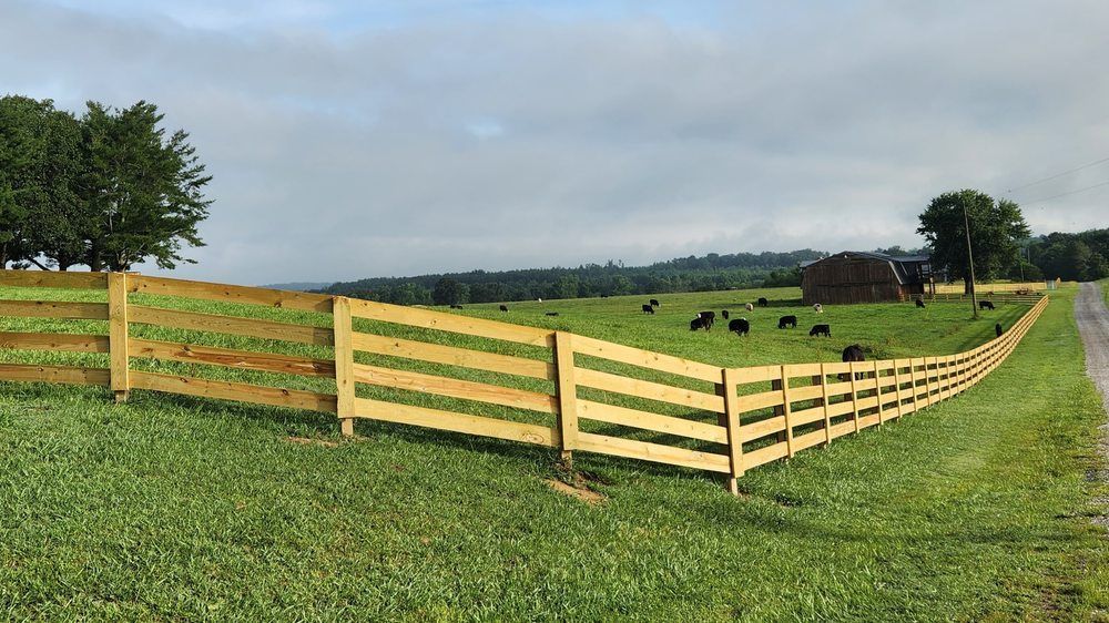 A wooden fence surrounds a grassy field with cows.