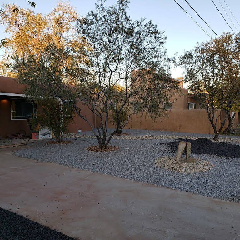 A house with a lot of trees in front of it
