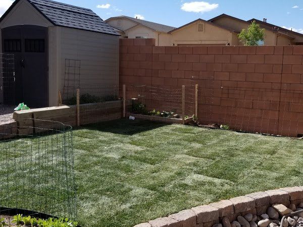 A backyard with a brick fence and a shed in the background.