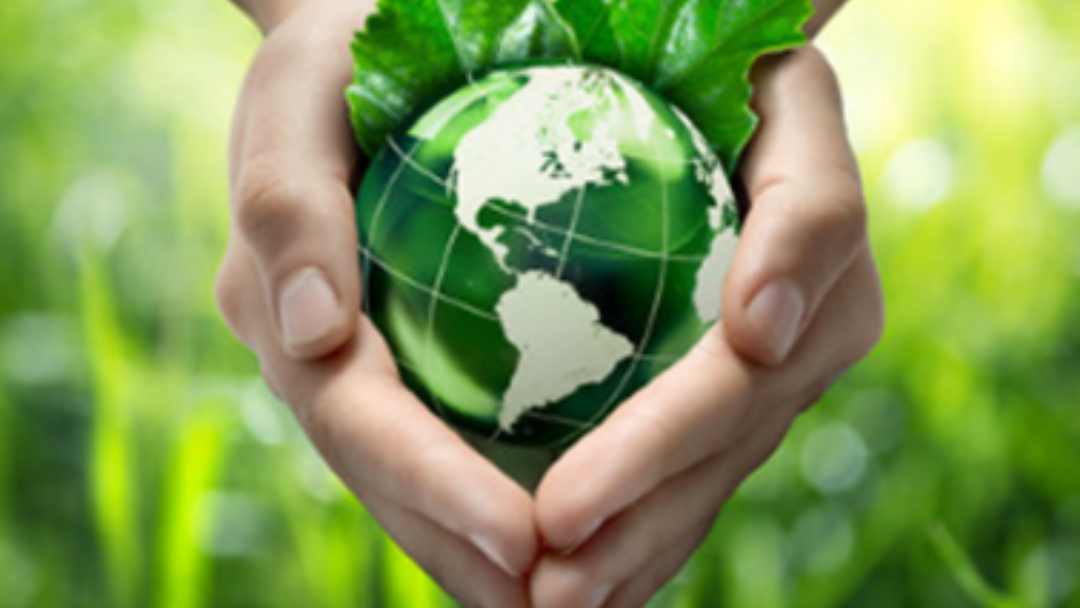 Hands cupping a green globe with leaves, representing environmental protection.