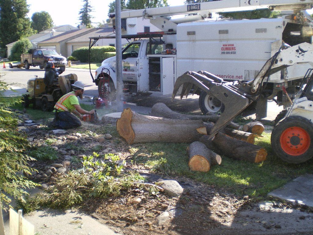Workers clearing a fallen tree beside a white utility truck on a suburban street