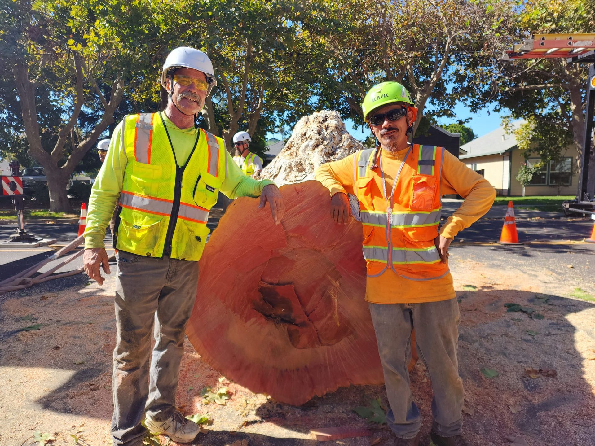 Two utility workers in safety vests stand beside a large uprooted tree trunk on a street