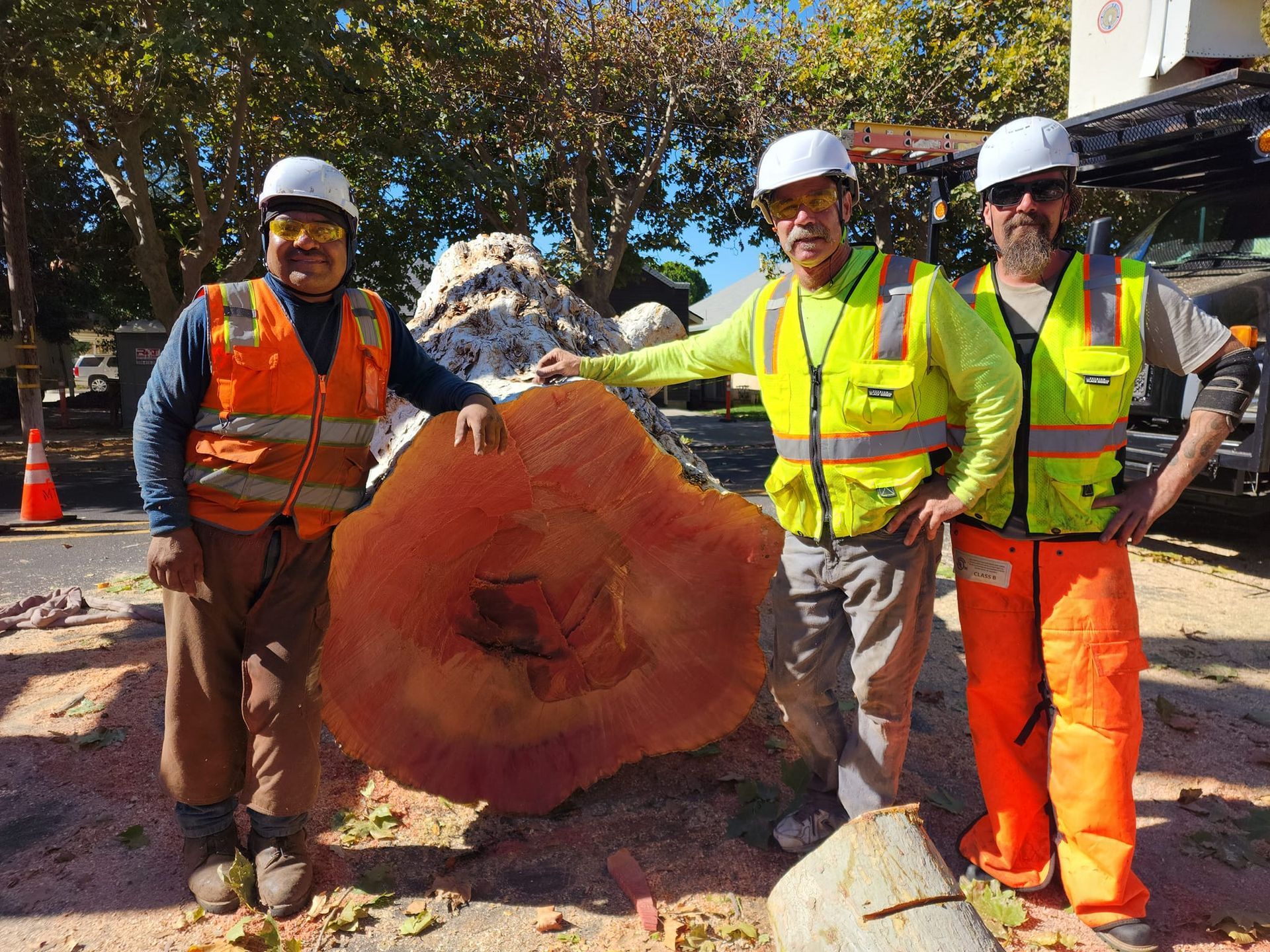 Three workers in safety gear stand beside a large cut tree trunk at a worksite.