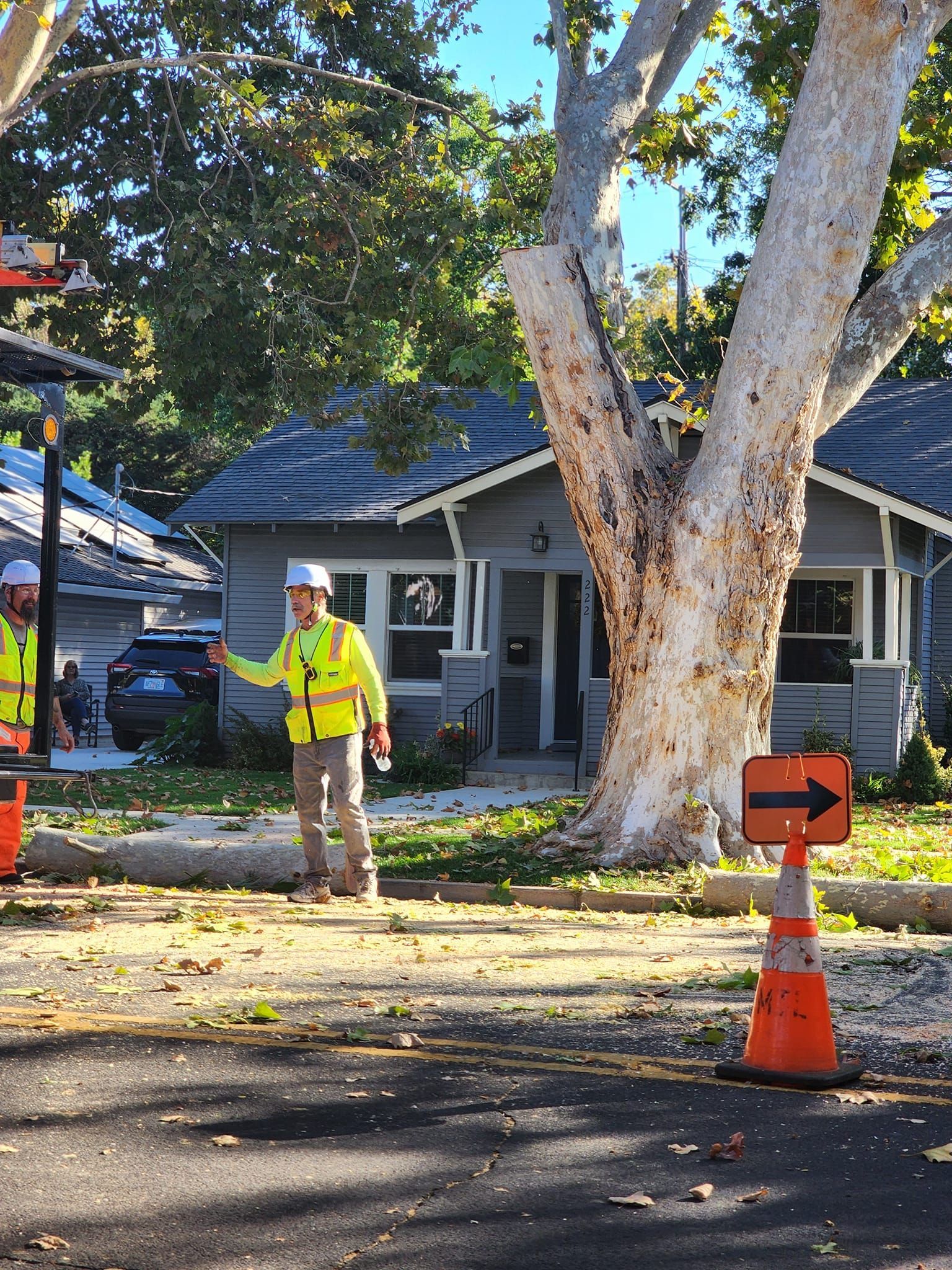 Road worker in neon vest stands by a large tree and house amid debris, with traffic cones nearby.