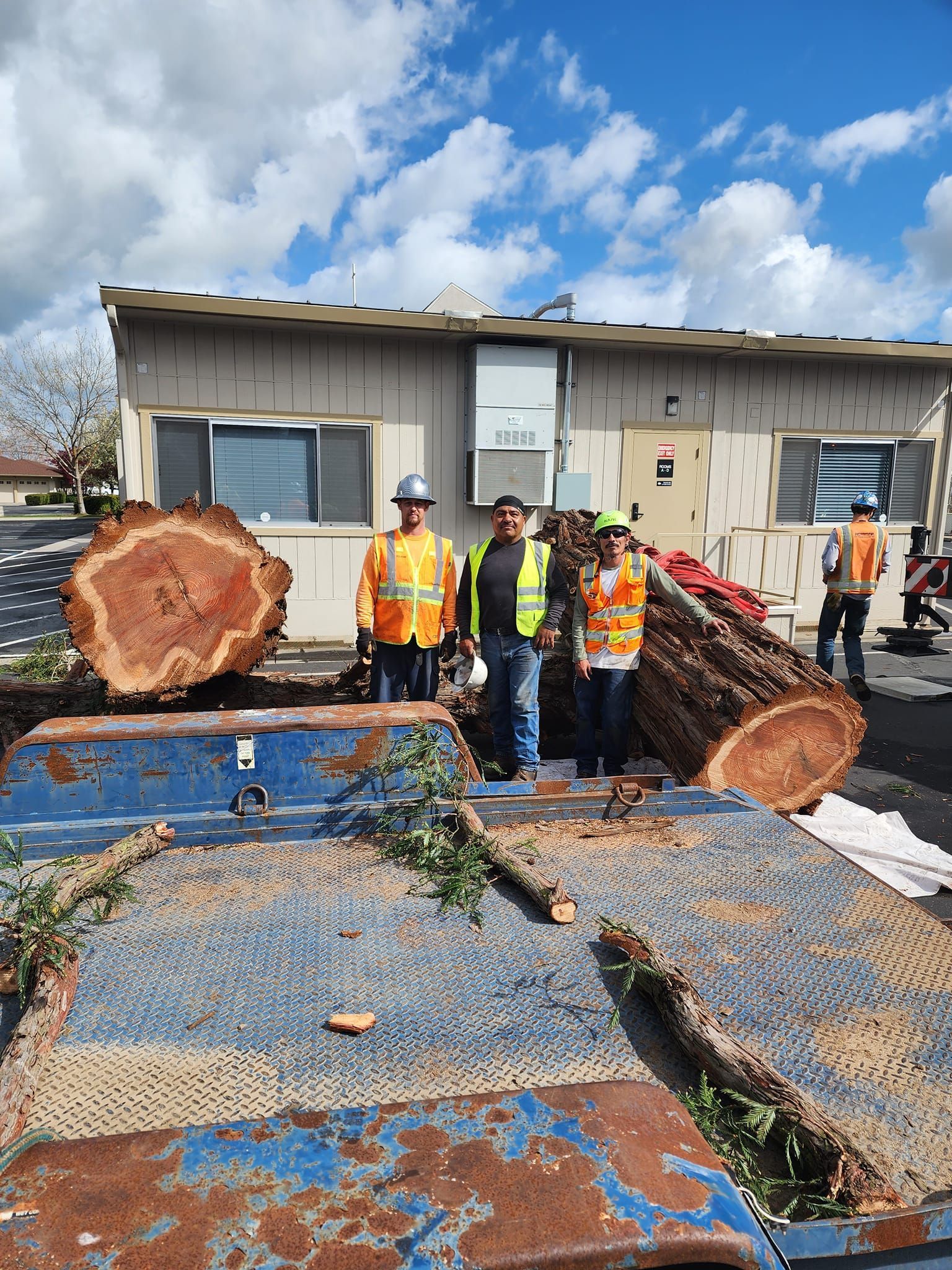 Workers beside huge cut logs on a truck bed outside a building under a cloudy sky