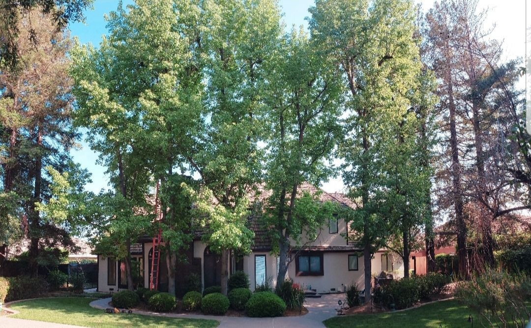Tree-shaded suburban house with beige siding and a front lawn, viewed from the street