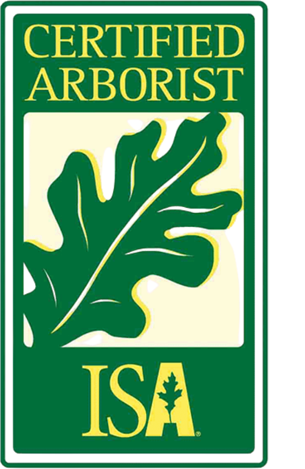 Certified Arborist ISA logo with green leaf on white and green background