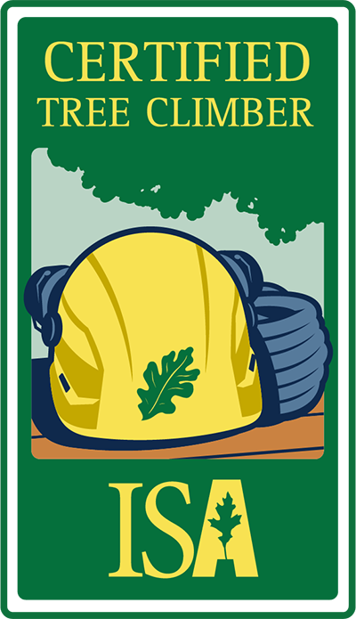ISA Certified Tree Climber badge with yellow hard hat and green tree leaf on a green background