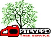 Steve’s Tree Service logo with green tree, red chainsaw, and black-and-red text