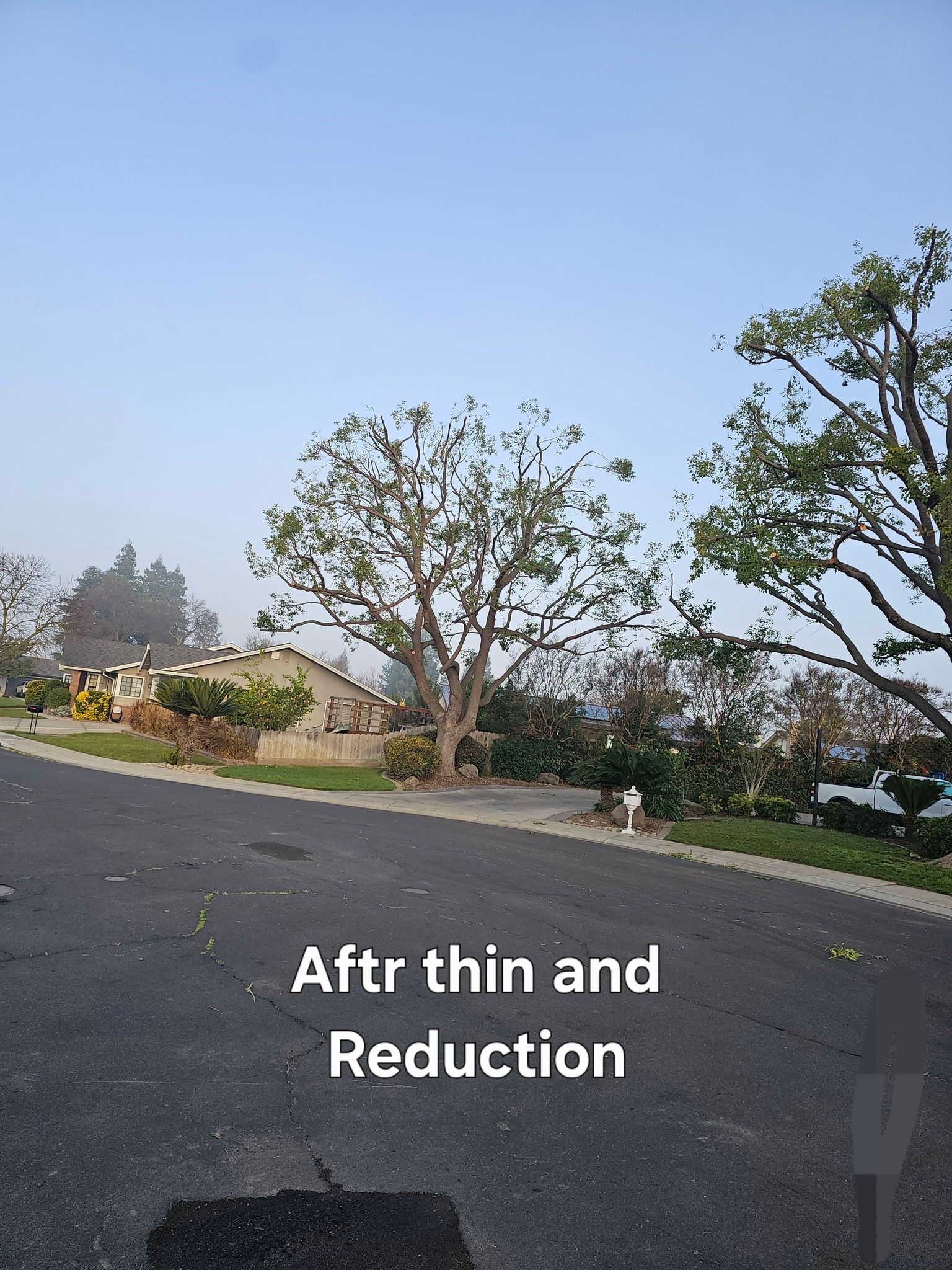 Paved road beside a dry, tree-lined hillside under a blue sky, with the text “After thin and Reduction.”