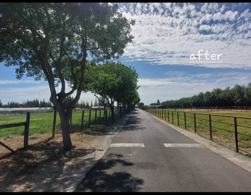 Tree-lined country road under a partly cloudy sky, with fenced fields on both sides.