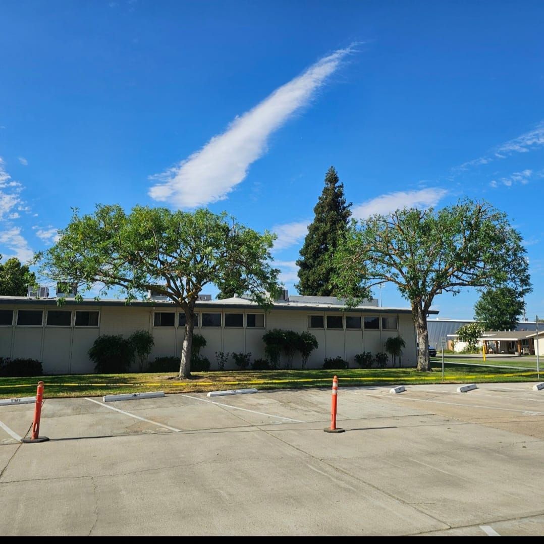 Single-story building with trees and orange cones in a parking lot under a bright blue sky