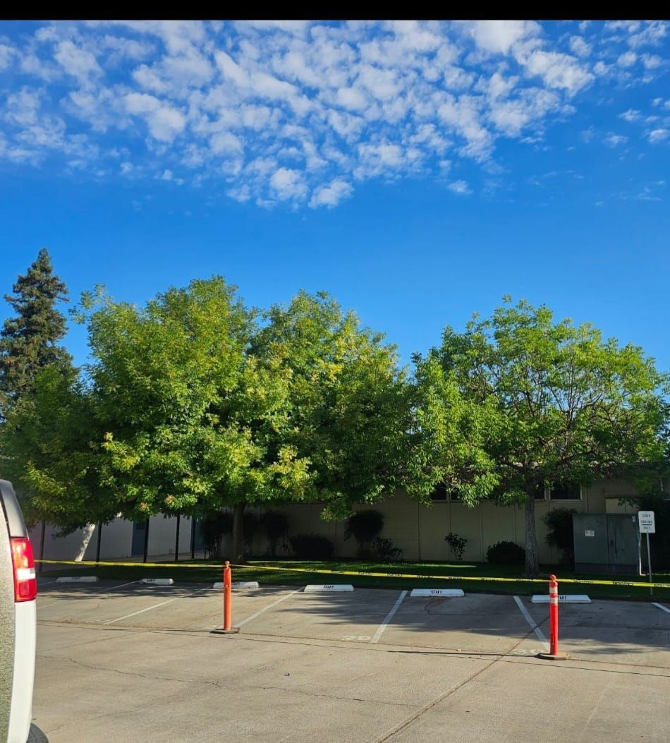 Parking lot with orange cones, trees, and a blue sky with scattered clouds