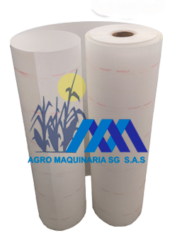 PAPEL MOMEX