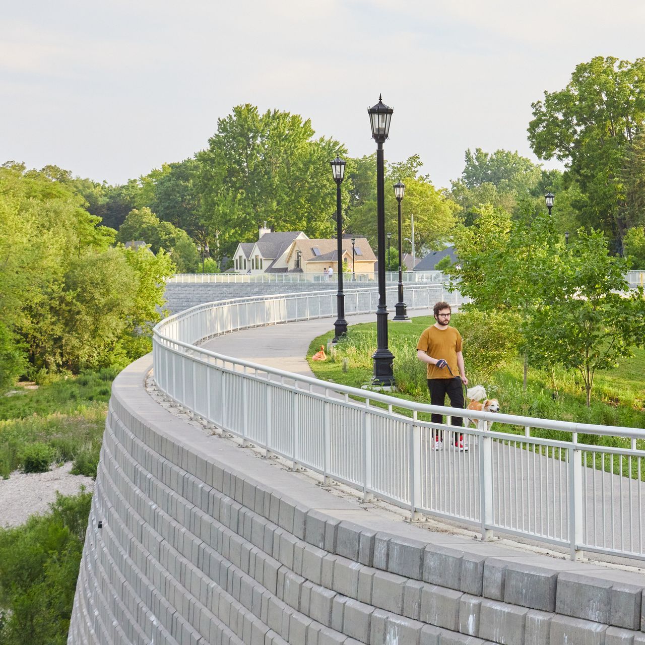 A man walking a dog on a bridge with trees in the background