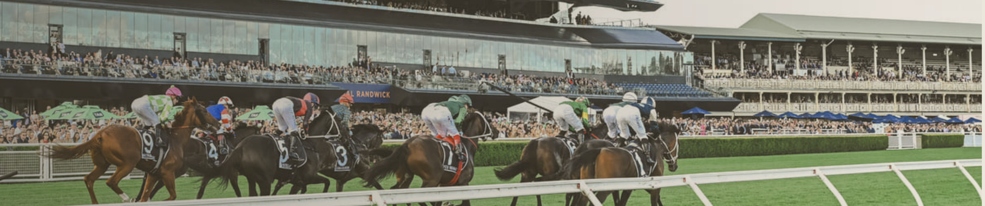 Royal Randwick Racecourse Sydney The Everest Day premium horse racing and corporate hospitality experience
