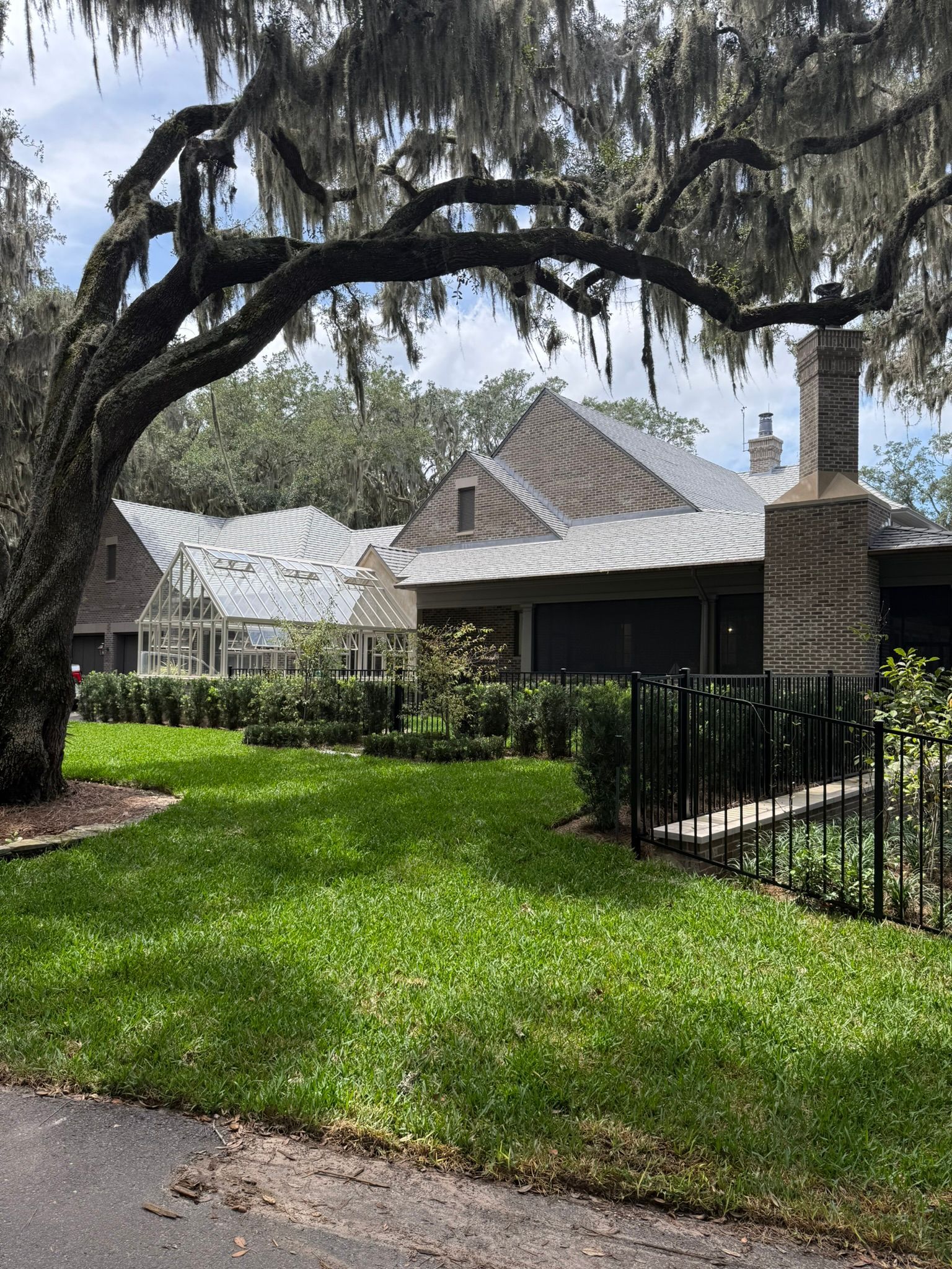 Suburban house with a black fence, green lawn, and large tree draped over the yard